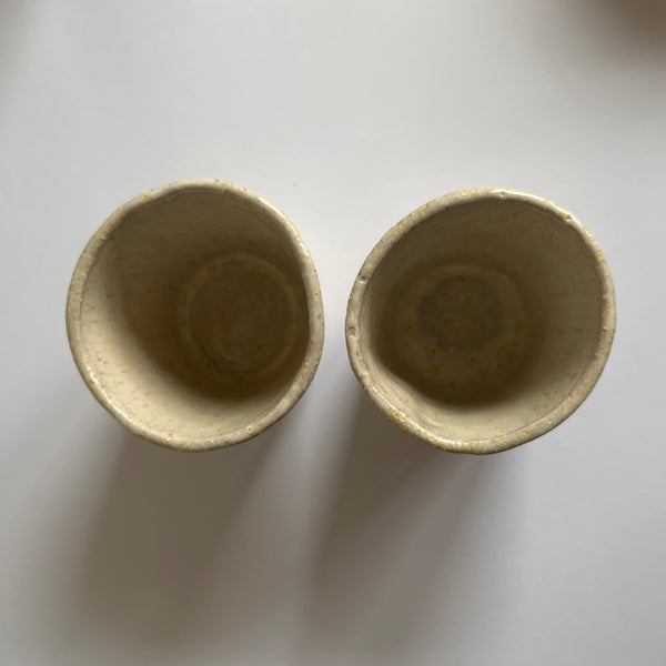 BEAKER (set of two)- Shell